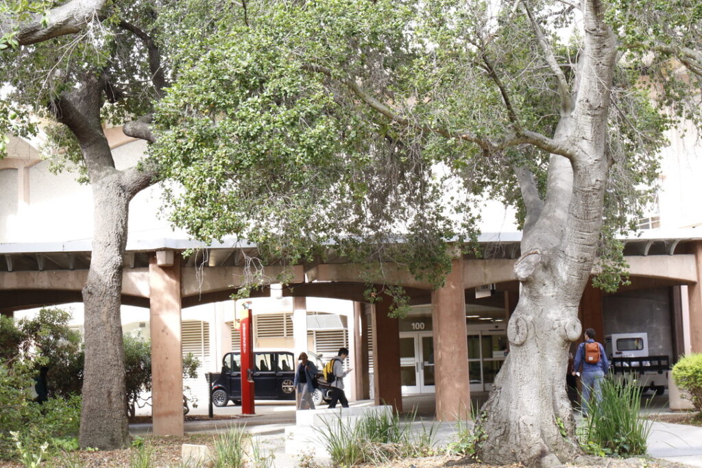 Two large trees with thick trunks and spreading branches stand in front of a building entrance. People walk beneath the trees along a pathway, with one person carrying a backpack and another looking at a phone. A black utility cart is parked near the entrance, and the background shows the building with the number “100” above the doorway.
