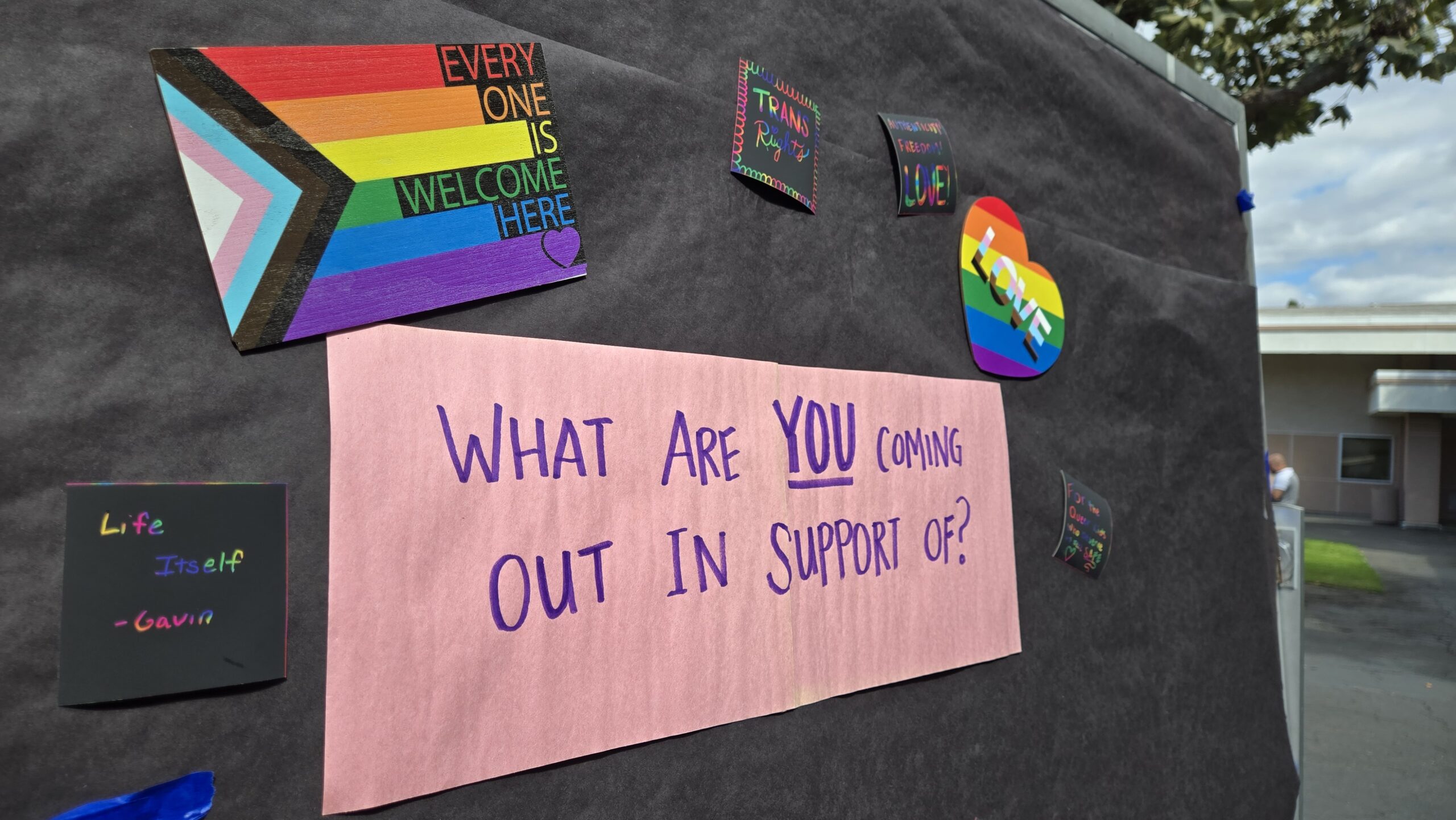 A display board covered in dark paper with colorful signs celebrating LGBTQ+ pride. A large pink sign in the center reads, “What are YOU coming out in support of?” in purple letters. Surrounding it are rainbow-themed decorations, including a Progress Pride flag that says “Everyone is welcome here,” a heart-shaped sticker with the word “LOVE,” and other small signs with messages like “Trans Rights” and “Life itself – Gavin.” The board is set up outdoors near a building on a sunny day.
