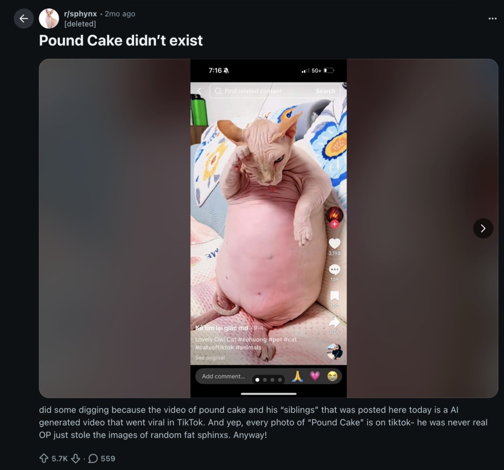 Screenshot of a Reddit post titled “Pound Cake didn’t exist” from r/sphynx. The post shows a vertical smartphone screenshot of a TikTok video featuring a hairless Sphynx cat sitting upright on a bed, with a very round, pink belly and wrinkled skin. The cat appears relaxed, one paw raised near its face, with patterned pillows behind it. TikTok interface icons (likes, comments, shares) are visible along the right side. Below the image, the Reddit post text explains that “Pound Cake” was an AI-generated viral TikTok and not a real cat.